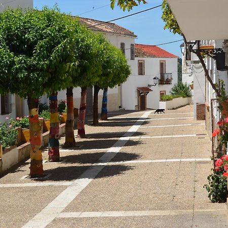 فيلا Casa La Puente Jubrique المظهر الخارجي الصورة